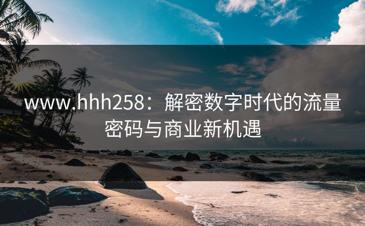 www.hhh258：解密数字时代的流量密码与商业新机遇
