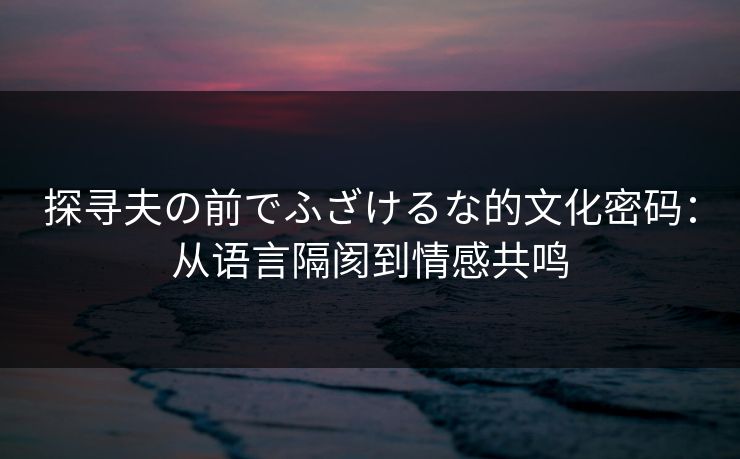 探寻夫の前でふざけるな的文化密码：从语言隔阂到情感共鸣