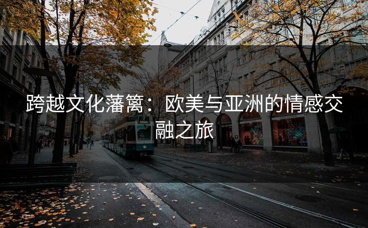 跨越文化藩篱：欧美与亚洲的情感交融之旅