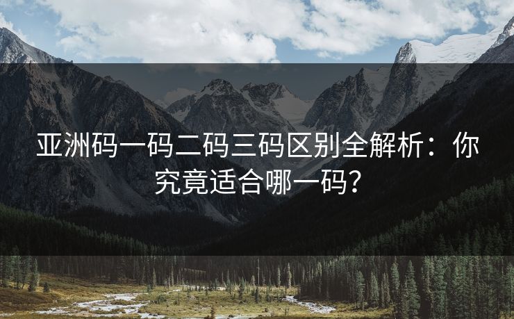 亚洲码一码二码三码区别全解析：你究竟适合哪一码？