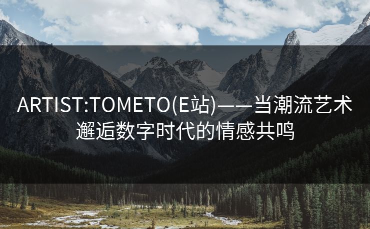 ARTIST:TOMETO(E站)——当潮流艺术邂逅数字时代的情感共鸣